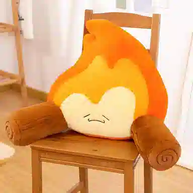 48cm