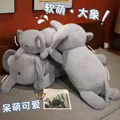 60cm80cm100cm120cm