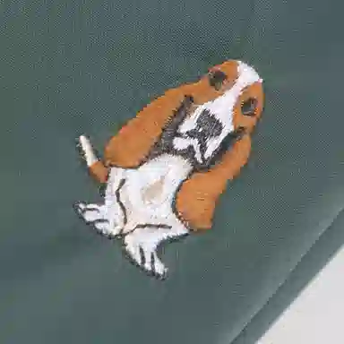 Hush Puppies FW24 PROTECTION