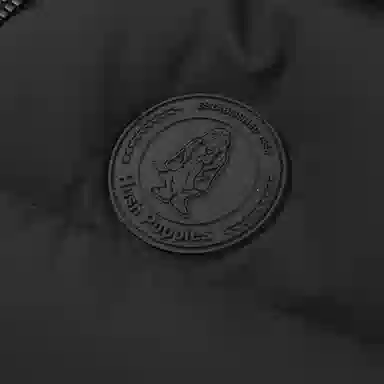 Hush Puppies PROTECTION MICHIGAN