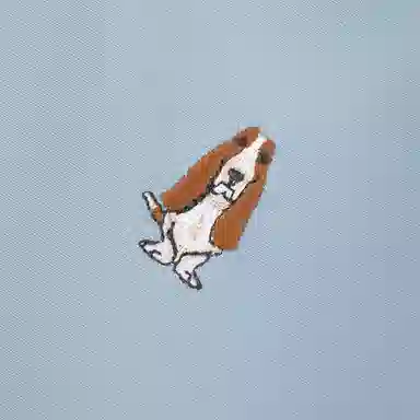 Hush Puppies x MICHIGAN SS25