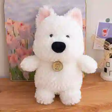 AECELI 25cm35cm