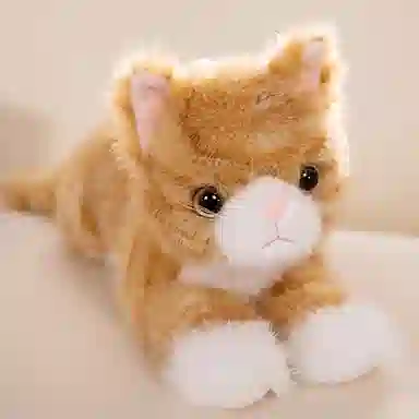 AECELI 40cm53cm