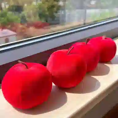 AECELI 10cm