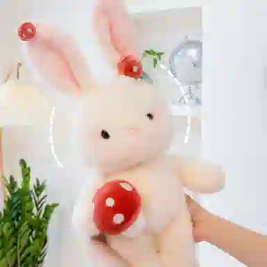 AECELI 40cm60cm