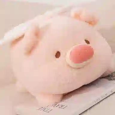 AECELI 20cm35cm