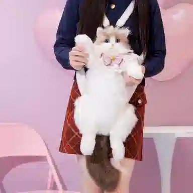 AECELI 48cm