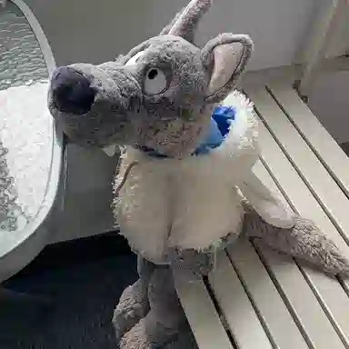 AECELI 35cm50cm