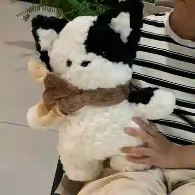 AECELI 35cm