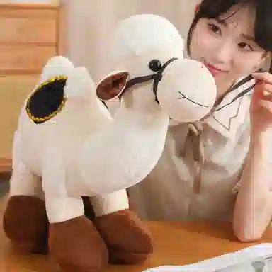 AECELI 30cm40cm50cm
