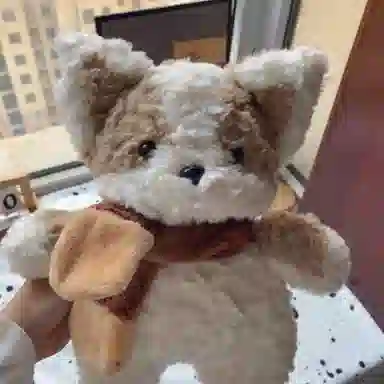 AECELI 35cm