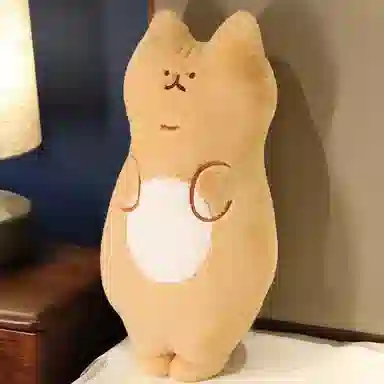 AECELI 66cm