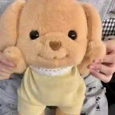 AECELI 35cm