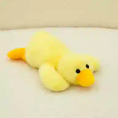 AECELI 19cm