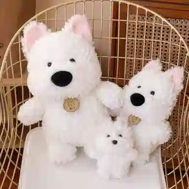 AECELI 25cm35cm
