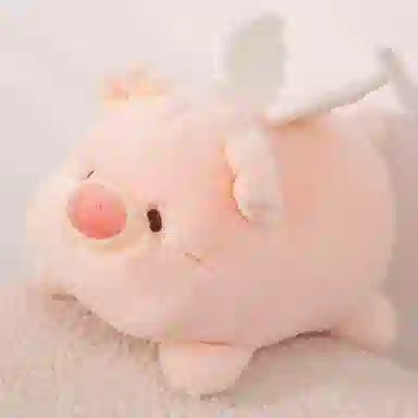AECELI 20cm35cm