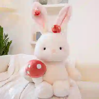 AECELI 40cm60cm