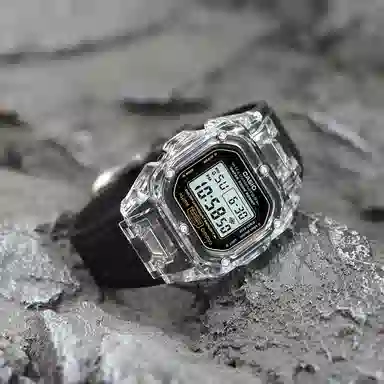 CASIO DW-5600E-1