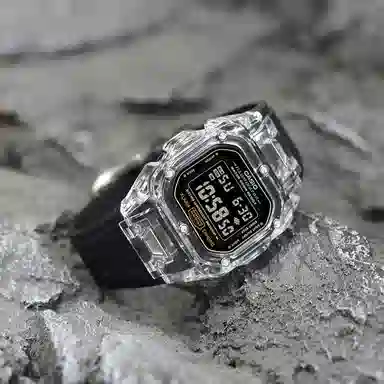 CASIO DW-5600E-1