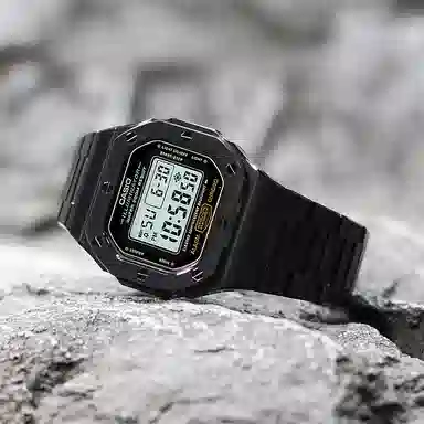 CASIO DW-5600E-1