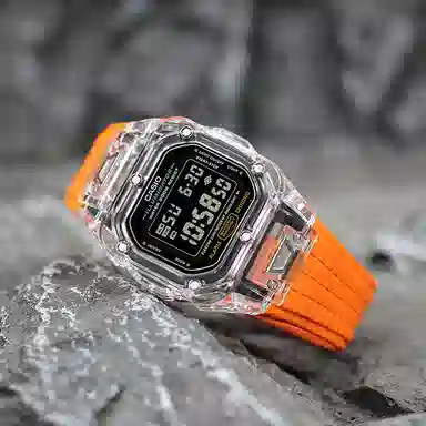 CASIO DW-5600E-1