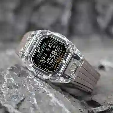 CASIO DW-5600E-1