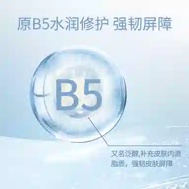 B5