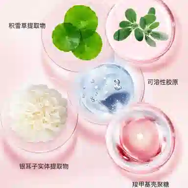 奥洛菲红石榴鲜萃赋活礼盒 保湿补水滋润护肤化妆品套盒