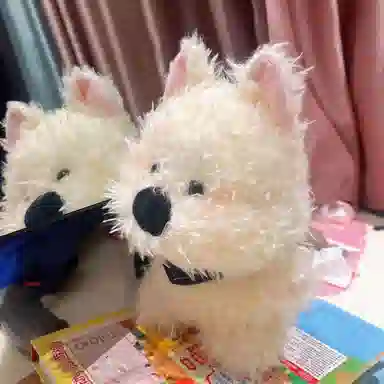 25cm