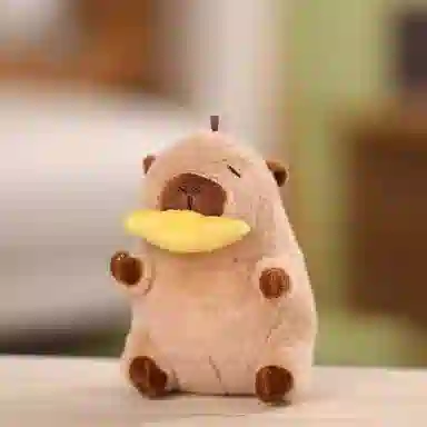 12cm