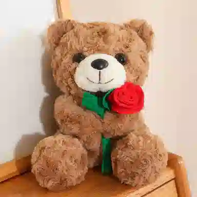 25cm