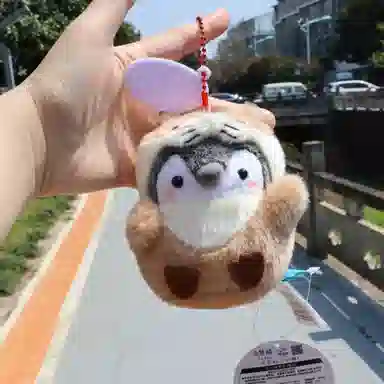 8cm