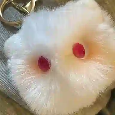 8cm
