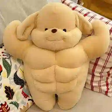 35cm50cm
