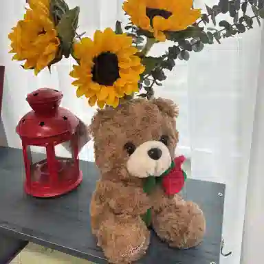25cm