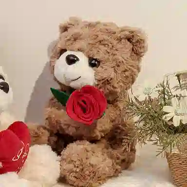 25cm
