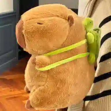 23cm