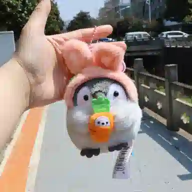 8cm