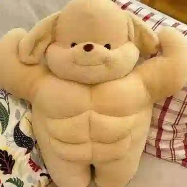35cm50cm