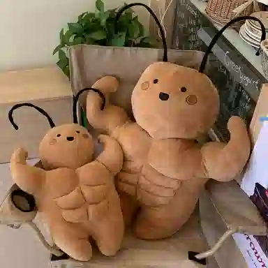 35cm50cm
