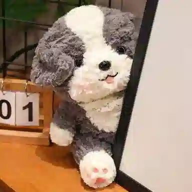 25cm
