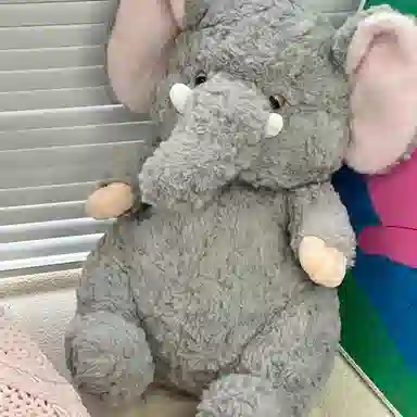 23cm