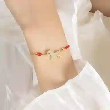 DVNRR s925