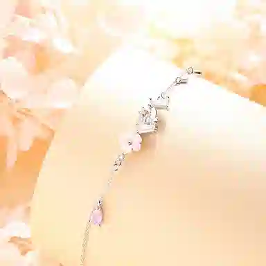 DVNRR s925