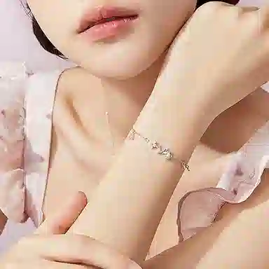 DVNRR s925