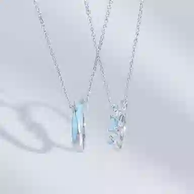 DVNRR S925