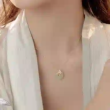 DVNRR s925