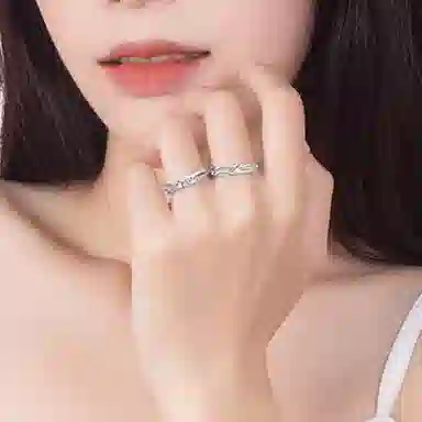 DVNRR s925