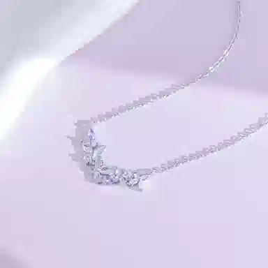 DVNRR