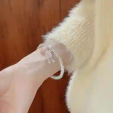 DVNRR